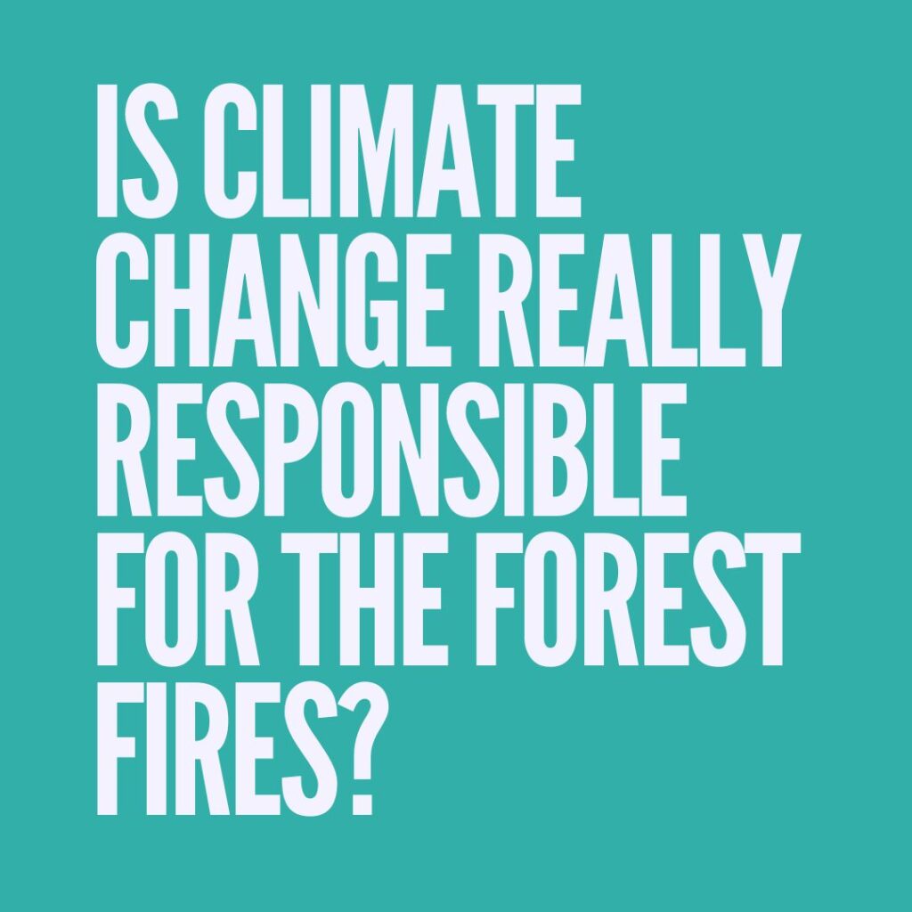 Is climate change really responsible for the forest fires?​