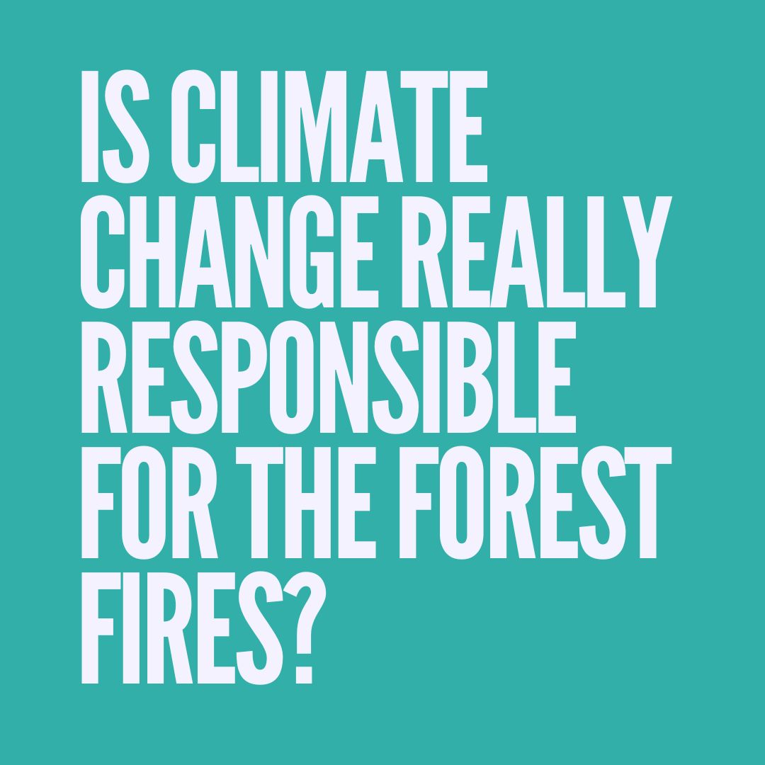 Is climate change really responsible for the forest fires?