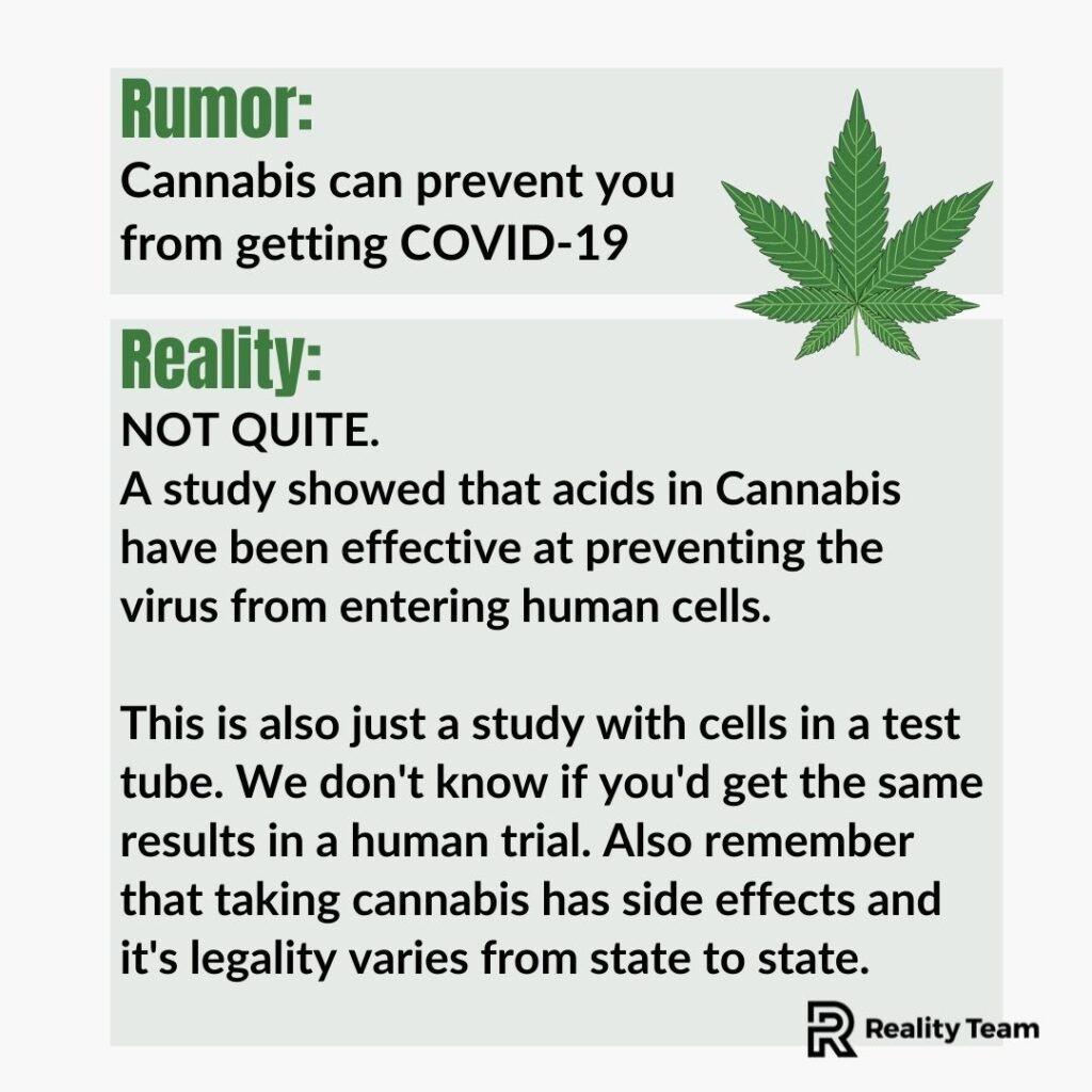 Rumor: Cannabis can prevent you from getting COVID-19. Reality: Not quite.