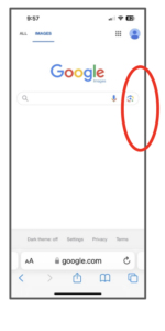 Reverse image search