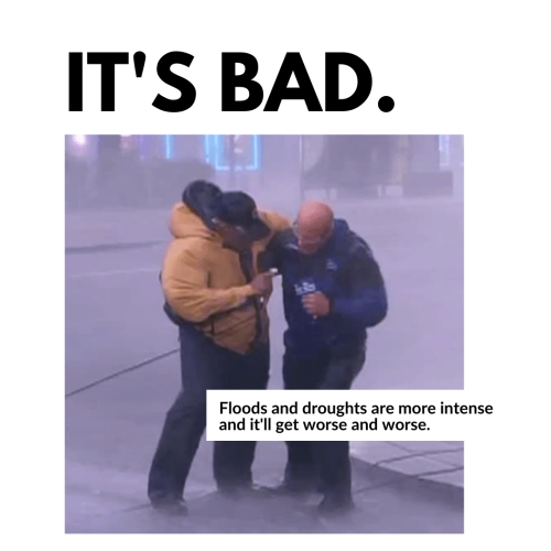 It's bad. Floods and droughts are more intense and it'll get worse and worse.