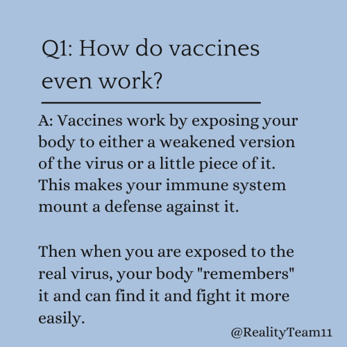 How do vaccines even work? Vaccines work by exposing your body to either a weakened version of the virus or a little piece of it. This makes your immune system mount a defense against it. Then when you are exposed to the real virus, your body remembers it and can find it and fight it more easily.