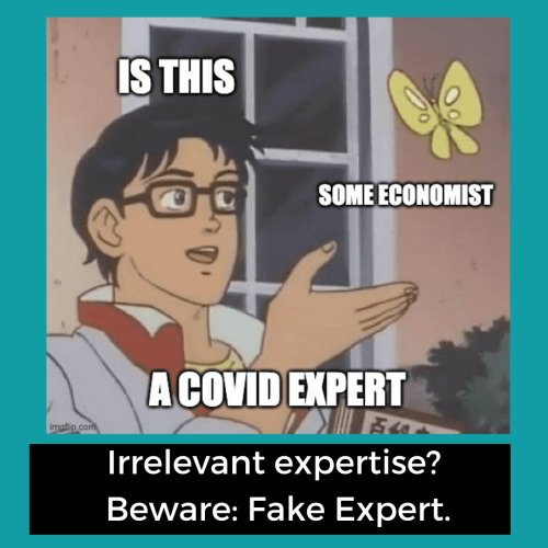 Fake Expert Example: The Irrelevant Expert