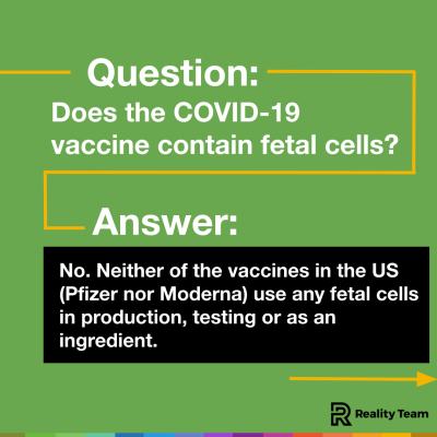 Question: Does the COVID-19 vaccine contain fetal cells? Answer: No. Neither of the vaccines in the U.S. (neither Pfizer nor Moderna) use any fetal cells in production, testing, or as an ingredient.