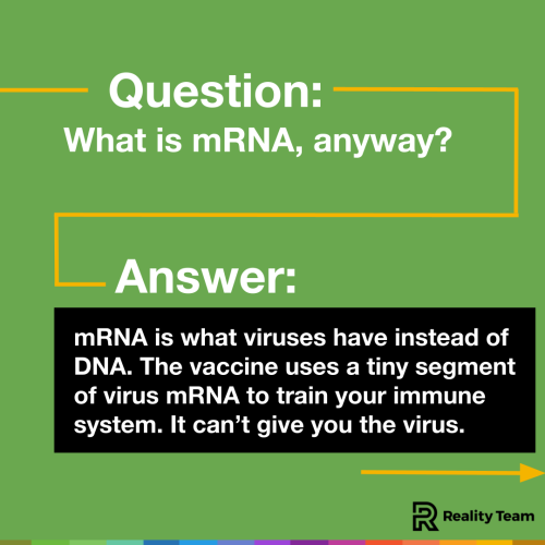 Question: What is mRNA, anyway? Answer: mRNA is what viruses have instead of DNA. The vaccine uses a tiny segment of virus mRNA to train your immune system. It can't give you the virus.