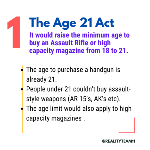The Age 21 Act, which would raise the minimum age to buy an assault rifle or high capacity magazine from 18 to 21.