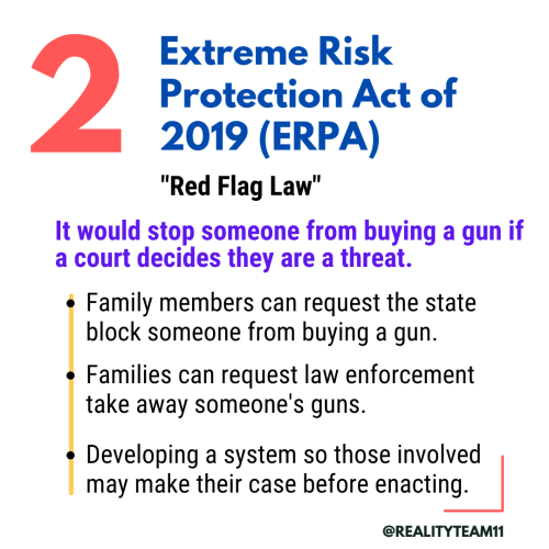 The Extreme Risk Protection Act of 2019, which would stop someone from buying a gun if a court decides they are a threat.