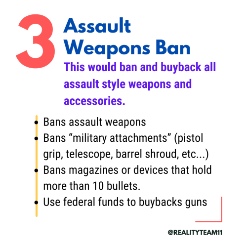 The Assault Weapons Ban, which would ban and buyback all assault style weapons and accessories.