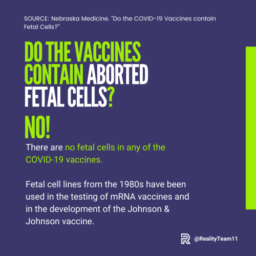 Do the vaccines contain aborted fetal cells? No.