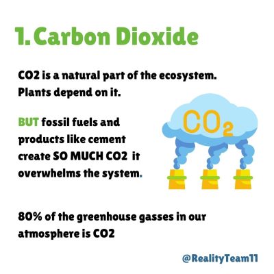 1. Carbon Dioxide